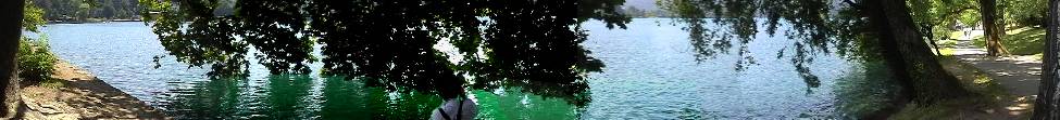 bled