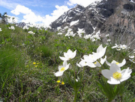 Ubaye